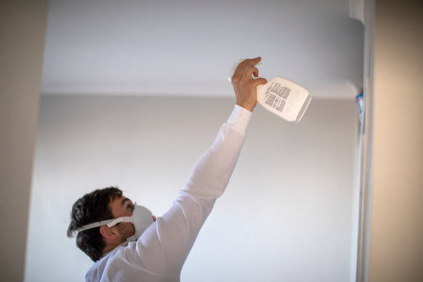 Best Mold Damage Repair  in Fair Oaks, CA