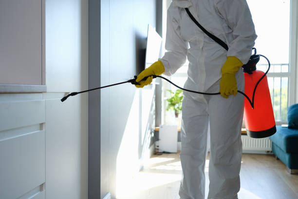 Best Toxic Mold Removal  in Fair Oaks, CA