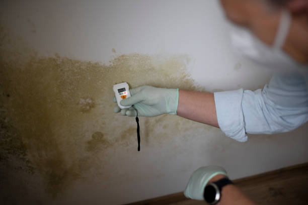 Best Emergency Mold Removal  in Fair Oaks, CA