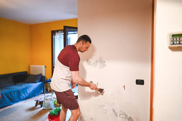 Best Fast Mold Removal  in Fair Oaks, CA