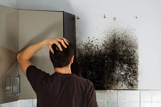 Best Professional Mold Removal  in Fair Oaks, CA